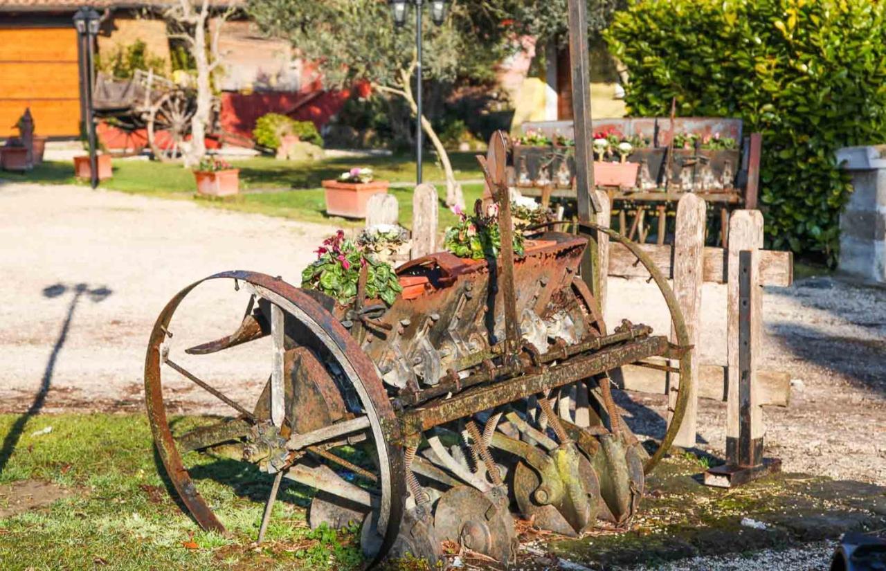Agriturismo La Melazza 罗马 外观 照片